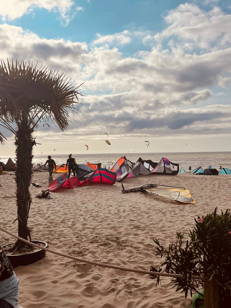 Kites laid out on the beach under a palm tree, riders getting ready